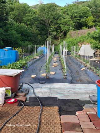 이세순님의 자유주제 · 자유게시판 작성글 사진