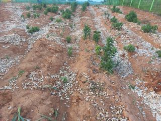 박린님의 자유주제 · 자유게시판 작성글 사진