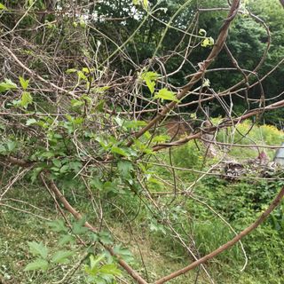 김순향님의 자유주제 · 자유게시판 작성글 사진