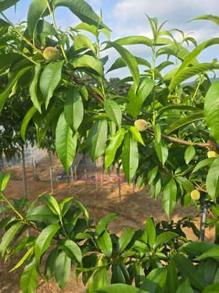 자연인님의 자유주제 · 자유게시판 작성글 사진