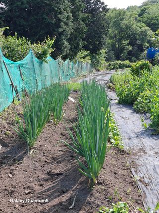 이세순님의 자유주제 · 자유게시판 작성글 사진