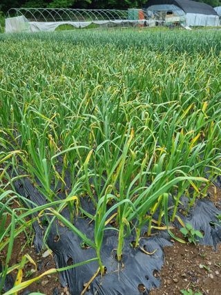 감20280님의 자유주제 · 자유게시판 작성글 사진