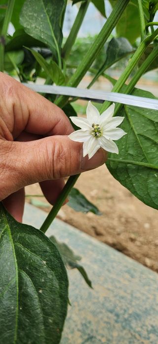 박종혁 님의 자유주제 · 자유게시판 작성글 사진