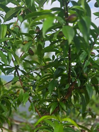 자연인님의 자유주제 · 자유게시판 작성글 사진