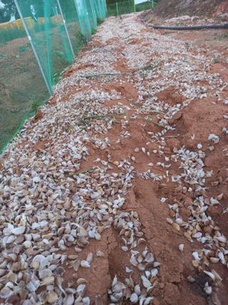 박린님의 자유주제 · 자유게시판 작성글 사진