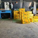 팜모닝 자유주제·자유게시판 게시글 이미지