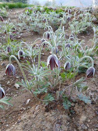 인생은 소풍처럼님의 자유주제 · 자유게시판 작성글 사진