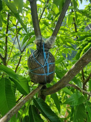 김용대님의 자유주제 · 자유게시판 작성글 사진