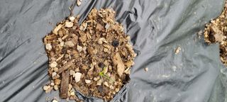 배추7168님의 자유주제 · 자유게시판 작성글 사진