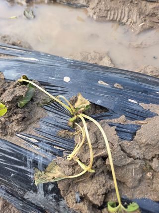 박명광님의 자유주제 · 자유게시판 작성글 사진