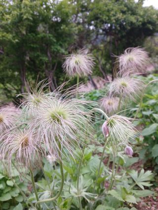 인생은 소풍처럼님의 자유주제 · 자유게시판 작성글 사진