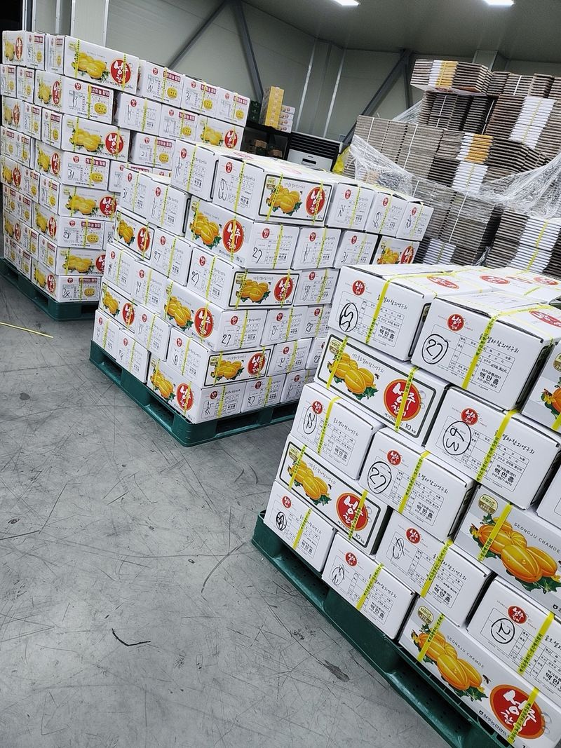 백만흠님의 장터 판매 상품 [성주백가참외 3kg 가정용] 첨부 사진