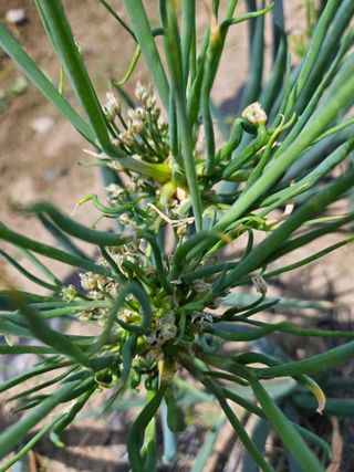 법선님의 작성글 사진