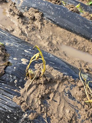 박명광님의 자유주제 · 자유게시판 작성글 사진