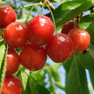 복주농장님의 자유주제 · 자유게시판 작성글 사진