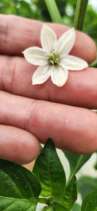박종혁 님의 자유주제 · 자유게시판 작성글 사진