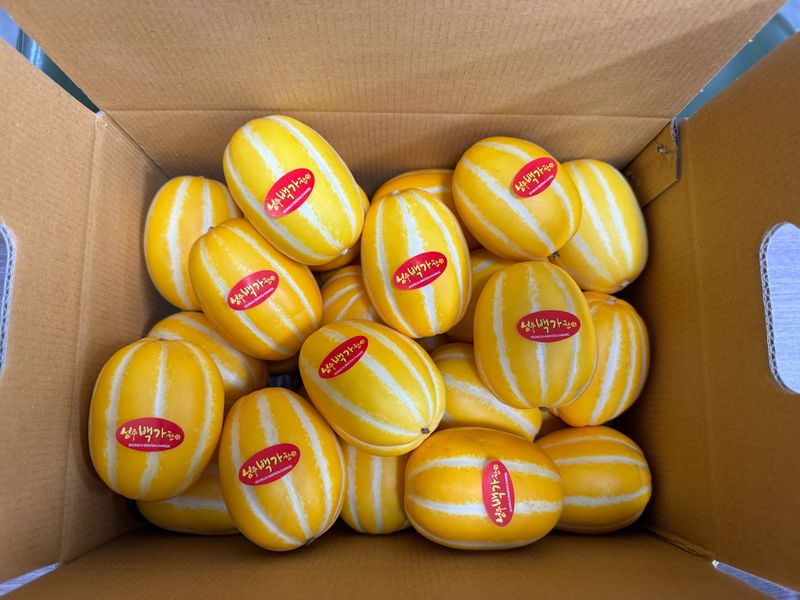 백만흠님의 장터 판매 상품 [성주백가참외 3kg 가정용] 첨부 사진