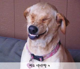 박명광님의 자유주제 · 자유게시판 작성글 사진