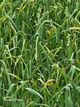 팜모닝 자유주제·자유게시판 게시글 이미지