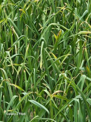 명희사랑합니다님의 자유주제 · 자유게시판 작성글 사진