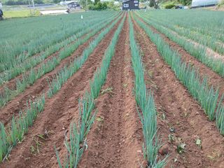 김성식님의 자유주제 · 자유게시판 작성글 사진