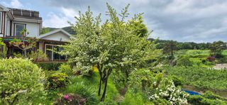 달맛햇복숭아농원님의 자유주제 · 사진전 작성글 사진