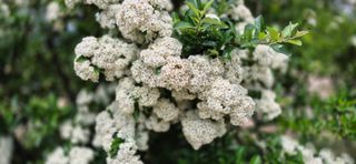 달맛햇복숭아농원님의 자유주제 · 사진전 작성글 사진