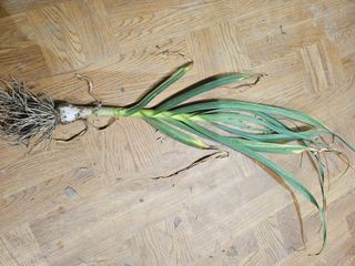 수선화님의 자유주제 · 자유게시판 작성글 사진