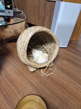 양평동물농장님의 자유주제 · 자유게시판 작성글 사진