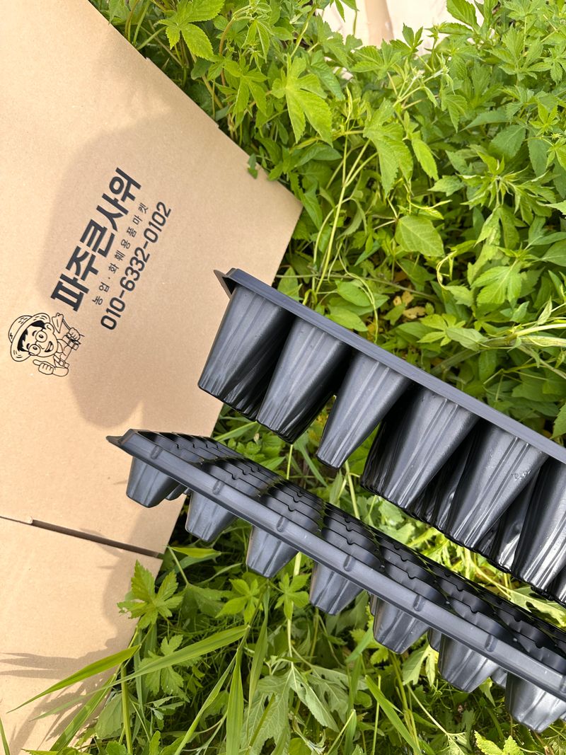 장터 상품 [기다란 50구 모종판 우체국 오늘출발] 썸네일