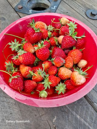 이세순님의 자유주제 · 자유게시판 작성글 사진