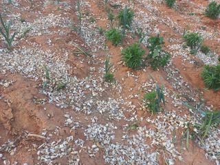 박린님의 자유주제 · 자유게시판 작성글 사진