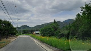 MSG0074님의 자유주제 · 자유게시판 작성글 사진