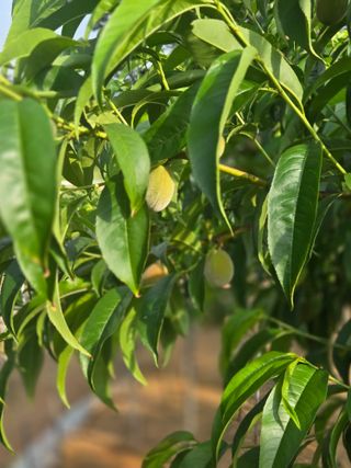 자연인님의 자유주제 · 자유게시판 작성글 사진