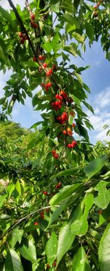 팜모닝 자유주제·자유게시판 게시글 이미지