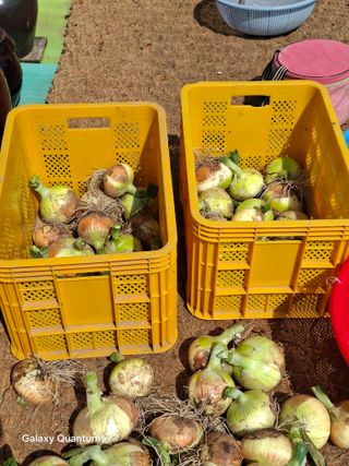 이세순님의 자유주제 · 자유게시판 작성글 사진