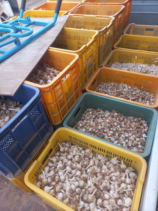 박린님의 자유주제 · 자유게시판 작성글 사진