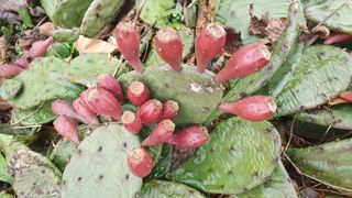 인생은 소풍처럼님의 자유주제 · 자유게시판 작성글 사진