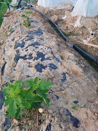 이창우님의 자유주제 · 자유게시판 작성글 사진