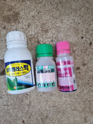 감20280님의 자유주제 · 자유게시판 작성글 사진