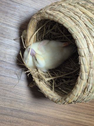 양평동물농장님의 자유주제 · 자유게시판 작성글 사진