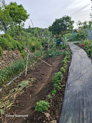 이세순님의 자유주제 · 자유게시판 작성글 사진