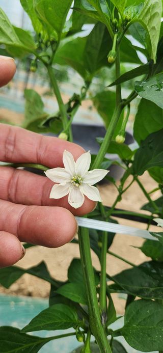 박종혁 님의 자유주제 · 자유게시판 작성글 사진