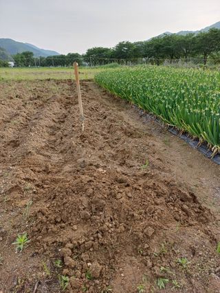 남궁봉님의 자유주제 · 자유게시판 작성글 사진