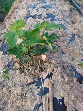 이창우님의 자유주제 · 자유게시판 작성글 사진