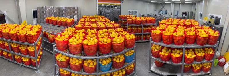 백만흠님의 장터 판매 상품 [성주백가참외 3kg 가정용] 첨부 사진