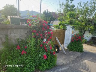 칠곡가산 최지훈님의 자유주제 · 자유게시판 작성글 사진