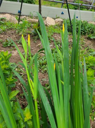 이박농장님의 자유주제 · 자유게시판 작성글 사진