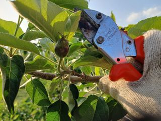 알 수 없음님의 자유주제 · 자유게시판 작성글 사진