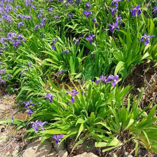 박수연님의 자유주제 · 자유게시판 작성글 사진